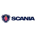 Scania-Plantinha