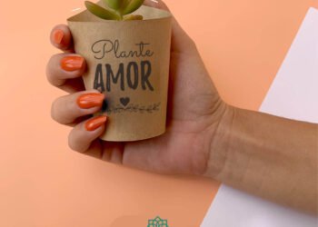 Rótulos para Download