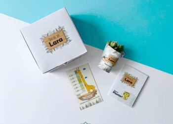 Suculentas Box Safari