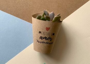 Mini Suculentas Cultive o Amor