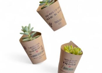 Mini Suculenta Personalizada para Formatura
